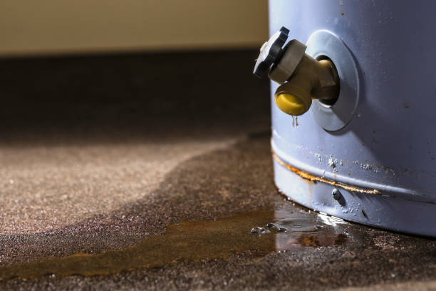 Best 24/7 water damage repair  in Waterflow, NM