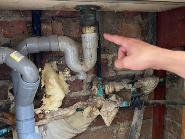 Best Flood damage cleanup  in Waterflow, NM